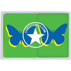 Cards-plastic PVC playing cards BLUE BUTTERFLY