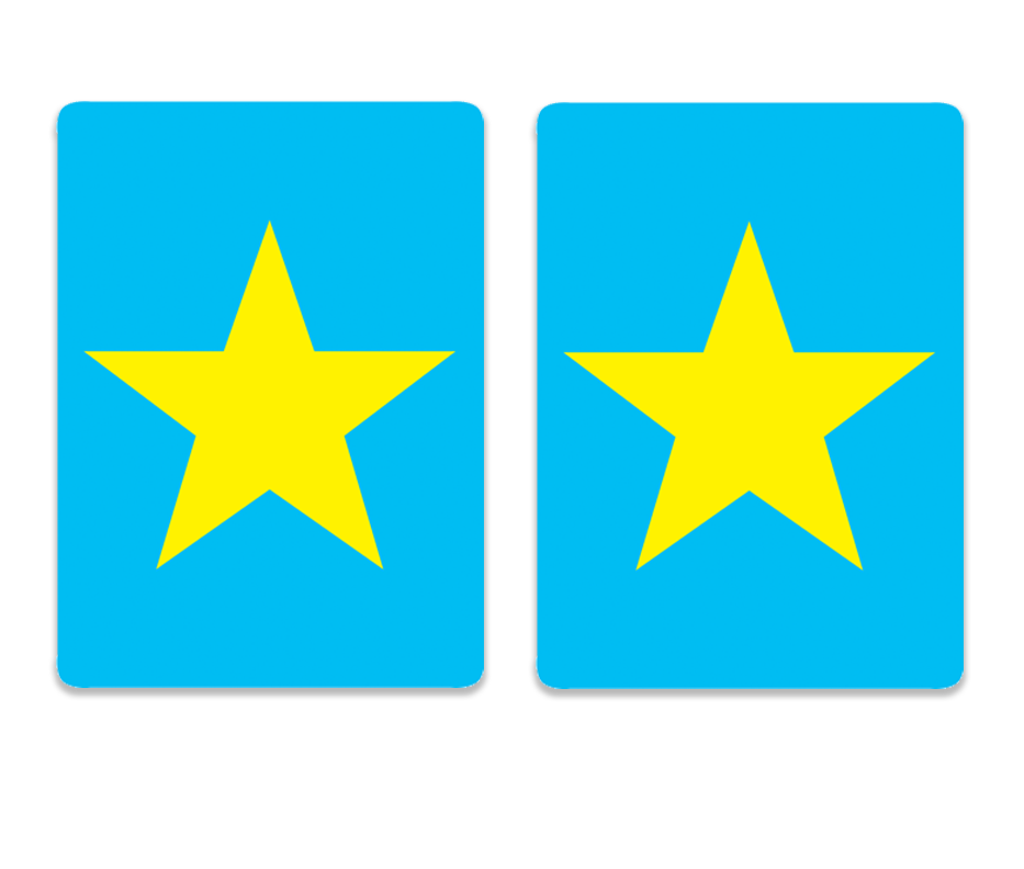 Cards-plastic PVC playing cards -Star logo