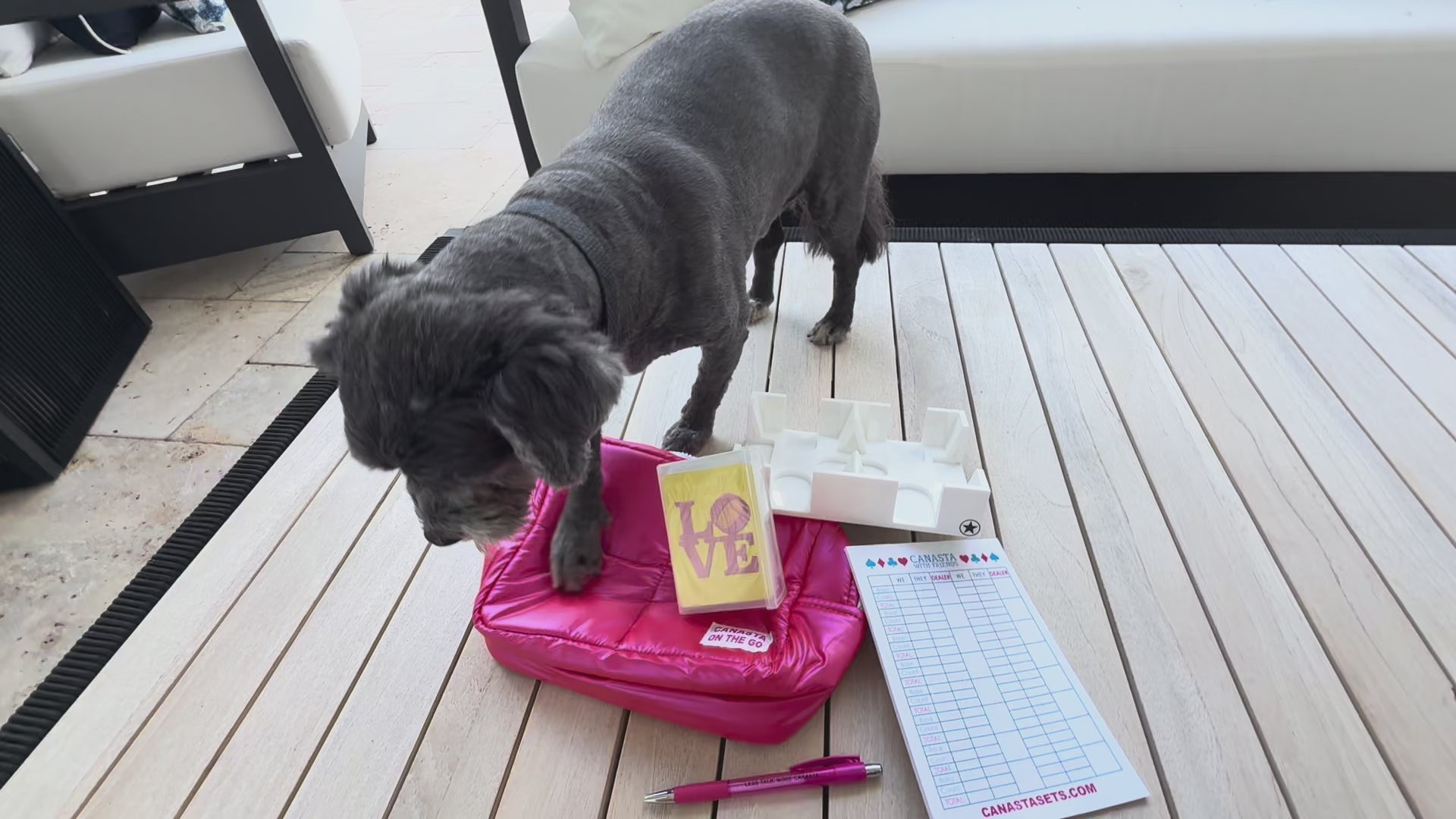 TRAVEL CANASTA Set on the GO in PINK